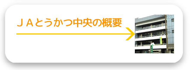 ＪＡとうかつ中央の概要