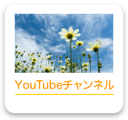 Youtubeチャンネル