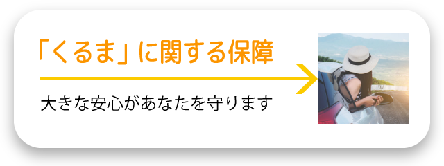 車に関する保障