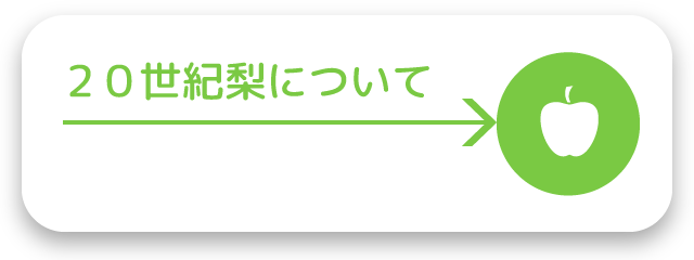 20世紀梨について