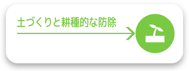 土づくりと耕種的な防除