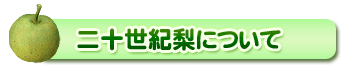 20世紀梨について