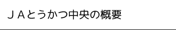 ＪＡとうかつ中央の概要