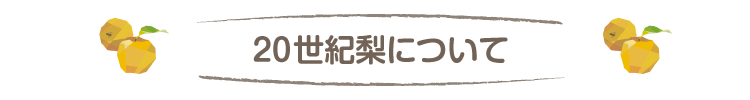 20世紀梨について