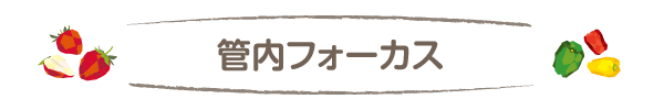 管内フォーカス